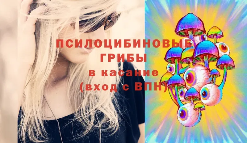 Галлюциногенные грибы Cubensis Тавда